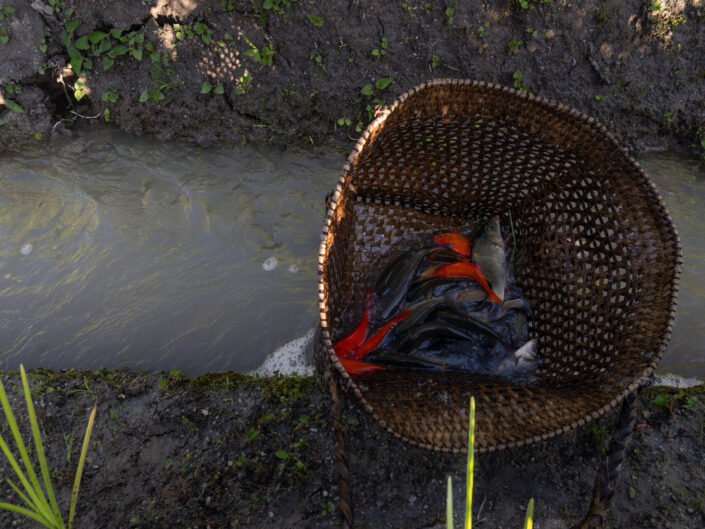 Where Water Governs The Land